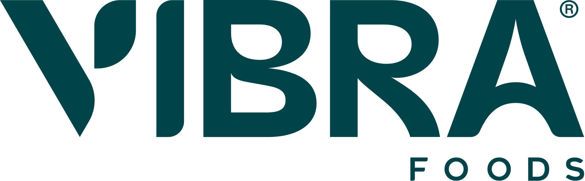 Logo Vibra Foods
